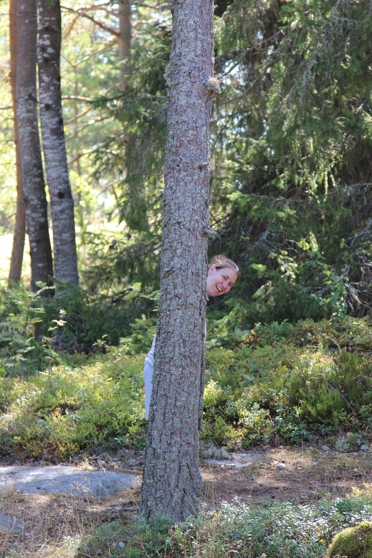 Hiding